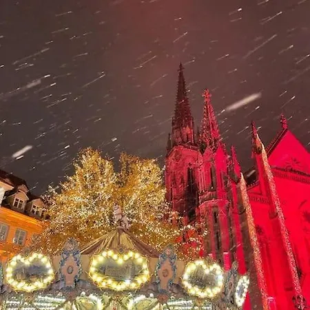Art & Luxury Bedroom At The Heart Historical Center Mulhouse